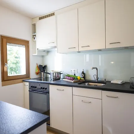 Chasa Arquint Apartment *